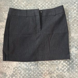Express stretch skirt